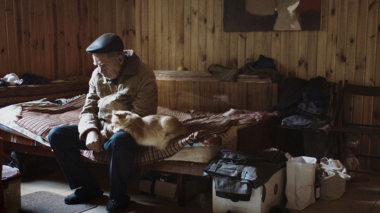 Ukrainian film nominated for European Film Awards 2024: what is it about