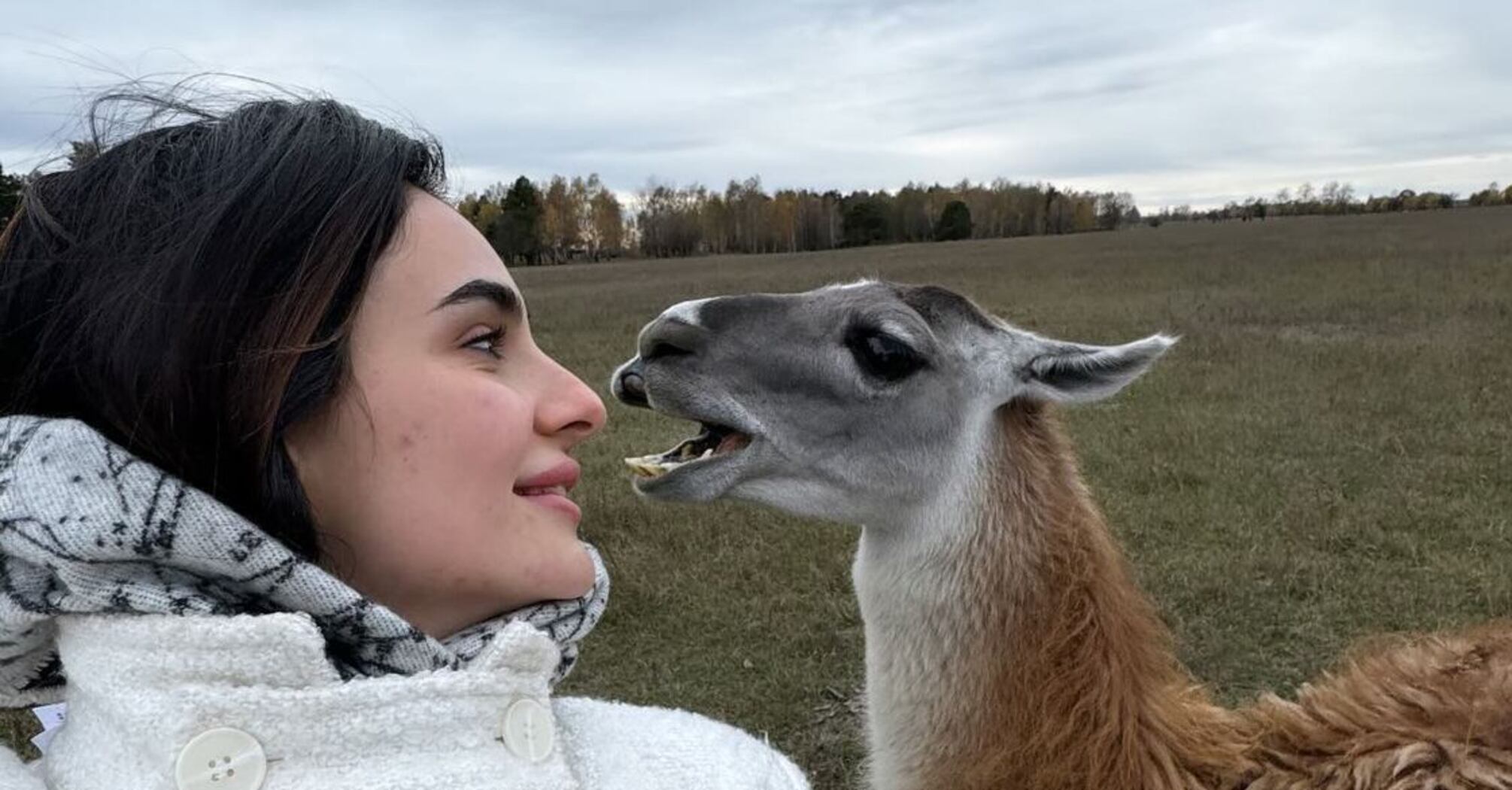 Anna Trincher got into an embarrassment with a camel she wanted to sing to. Video