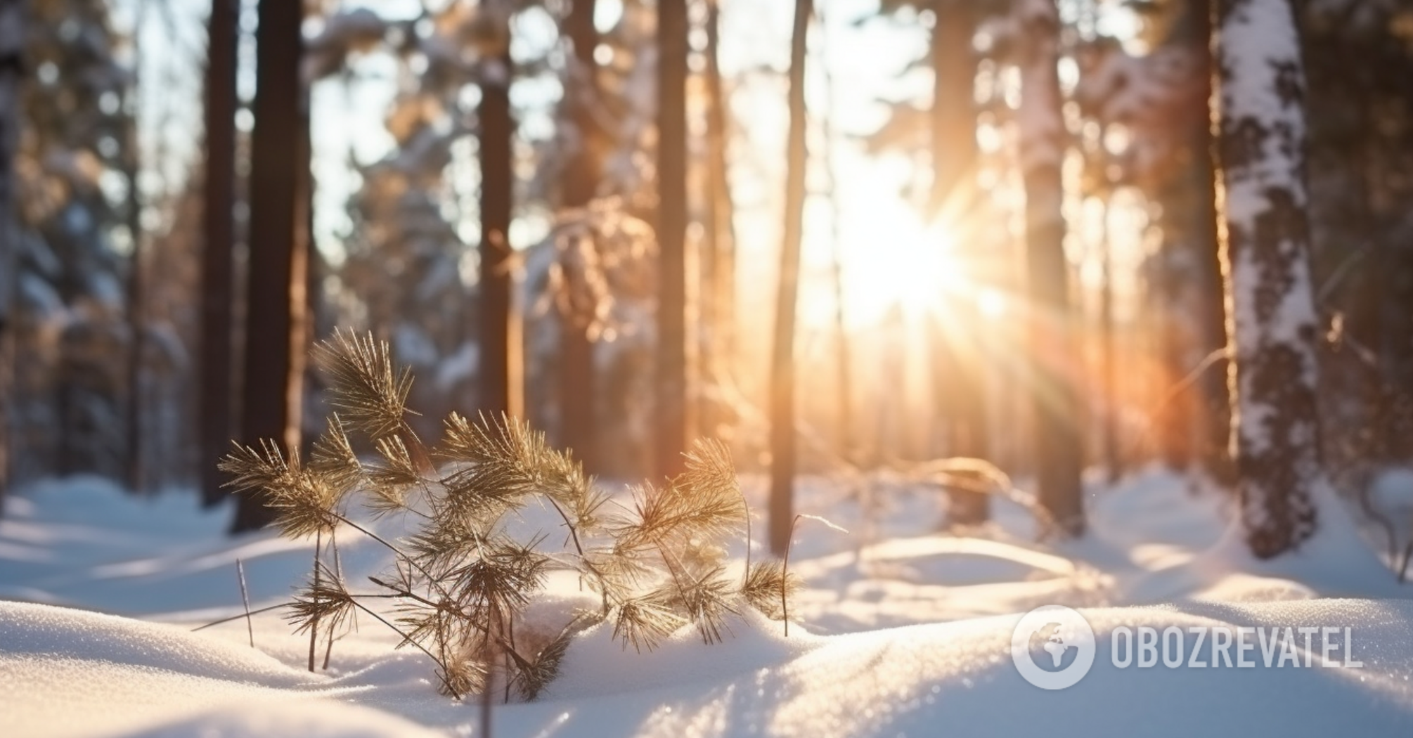 What holiday is celebrated on December 1: all about the first day of winter