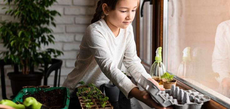 Not afraid of frost: what flowers can be left on the balcony in winter