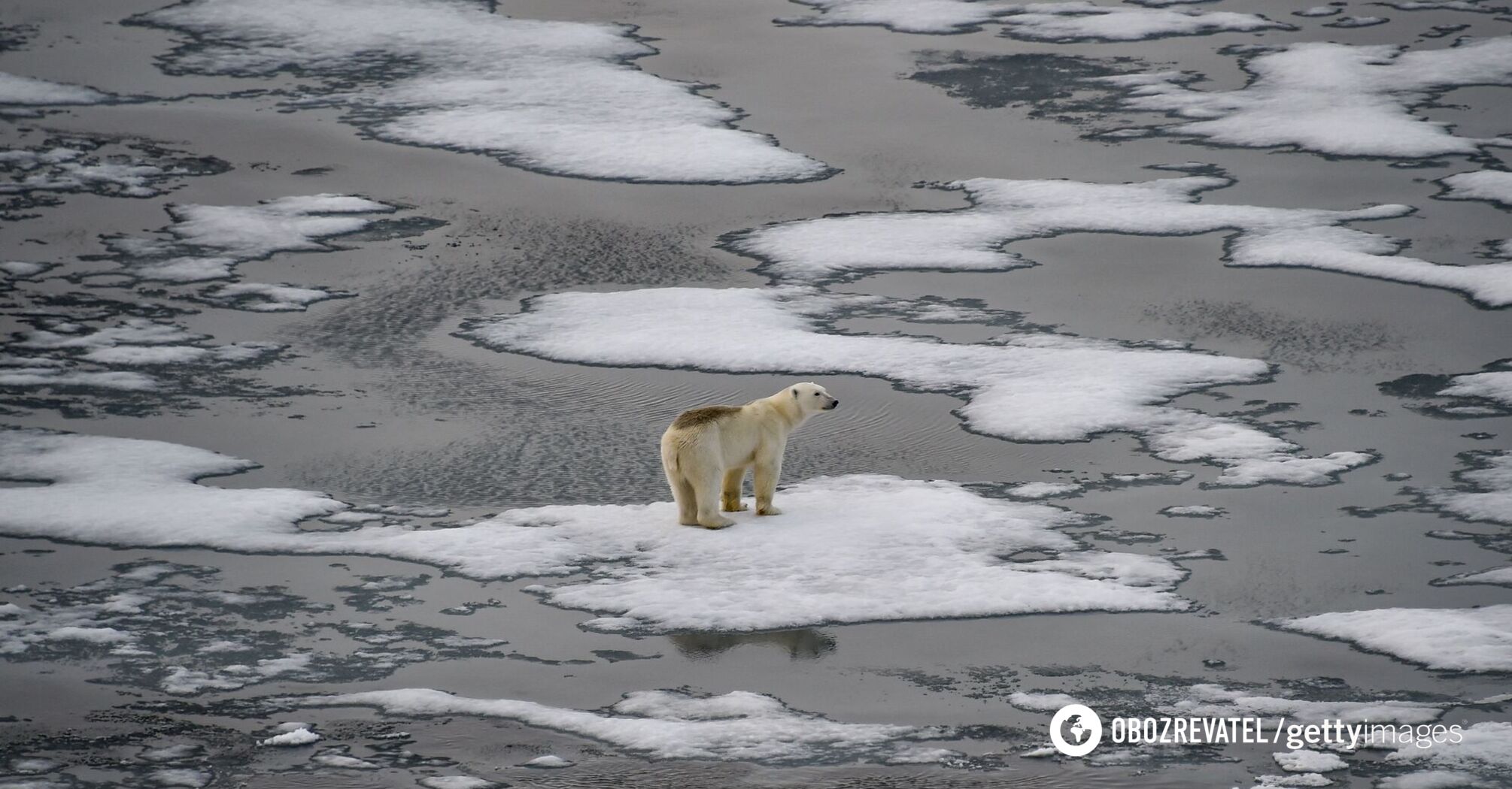 High temperatures, melting ice, and unprecedented emissions: scientists sound the alarm about the state of the Arctic