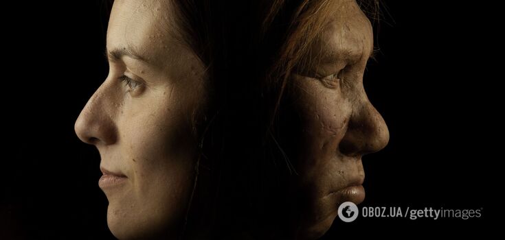 When did Neanderthals interbreed with ancient humans? New research sheds light on our origins