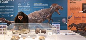 Jedna trzecia wszystkich żyjących gatunków może zniknąć do 2100 r. z powodu globalnego ocieplenia - biolog