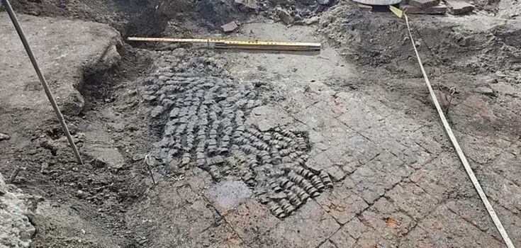 Archaeologists stumble upon a mysterious floor of bones in Amsterdam's red-light district. Photo
