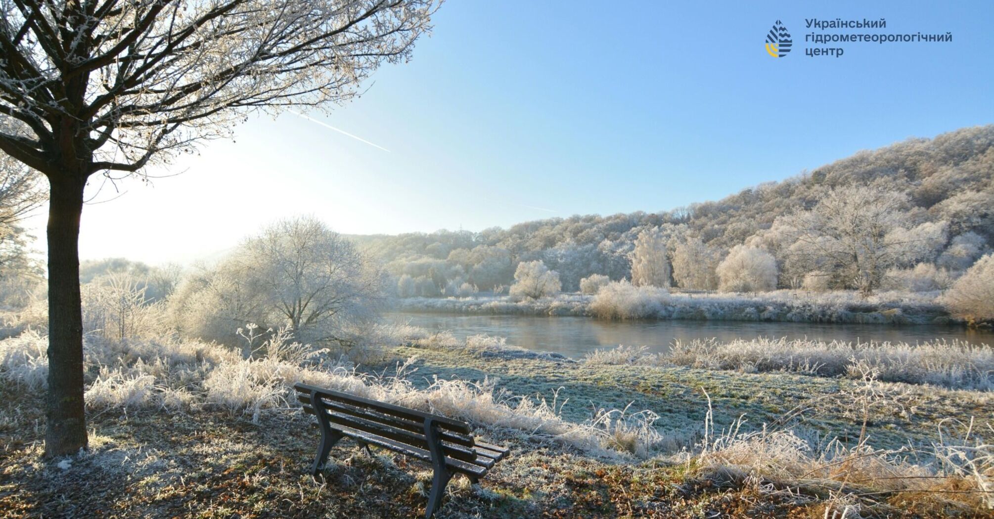 It makes trees turn gray: weather forecasters explain what hoarfrost is and how it forms in dangerous weather