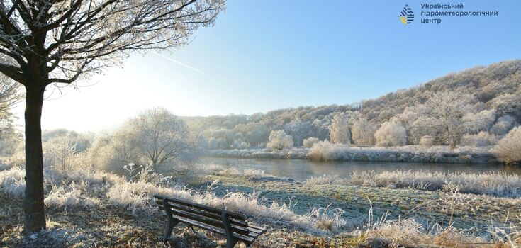 It makes trees turn gray: weather forecasters explain what hoarfrost is and how it forms in dangerous weather