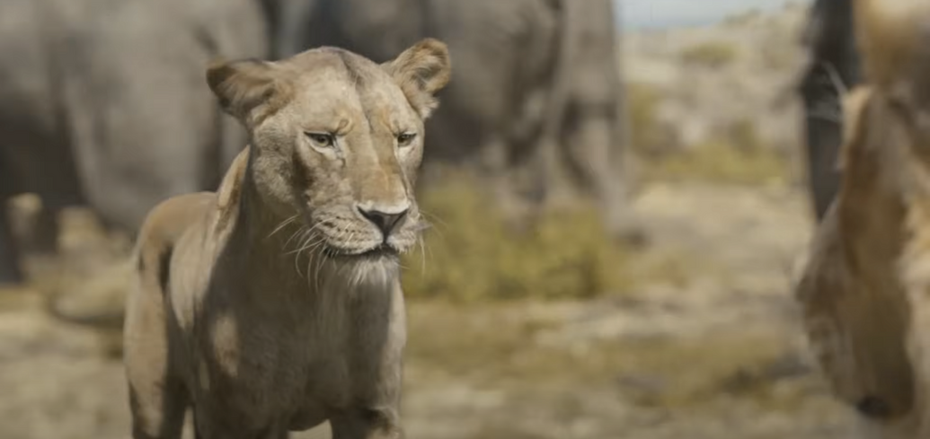Який вигляд матимуть головні герої фільма "Муфаса: Король Лев": Disney показав нові постери