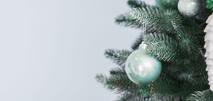 7 действенных советов, как продлить жизнь новогодней елке