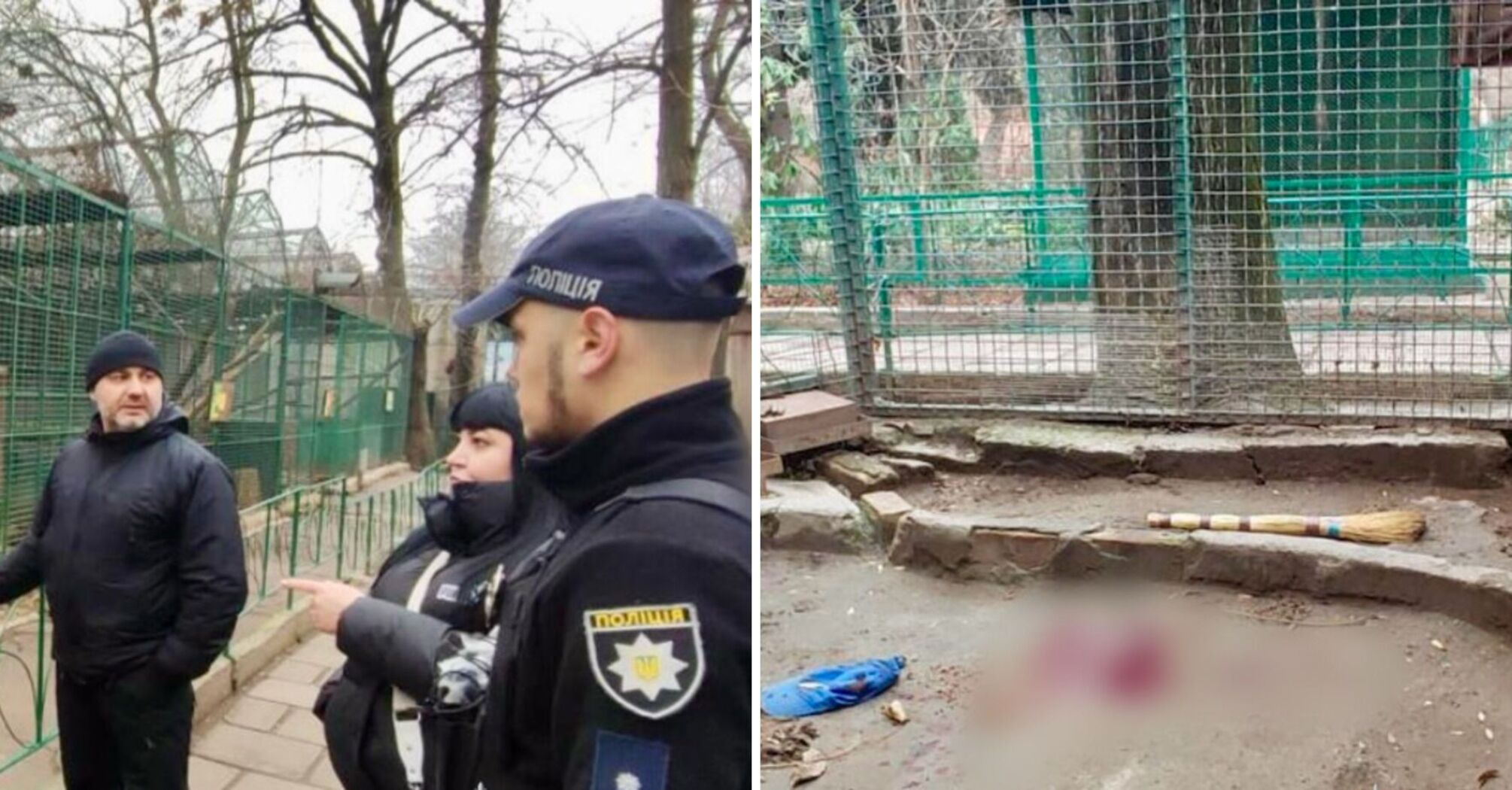 A leopard attacked a worker in the Odesa Zoo: the man was hospitalized