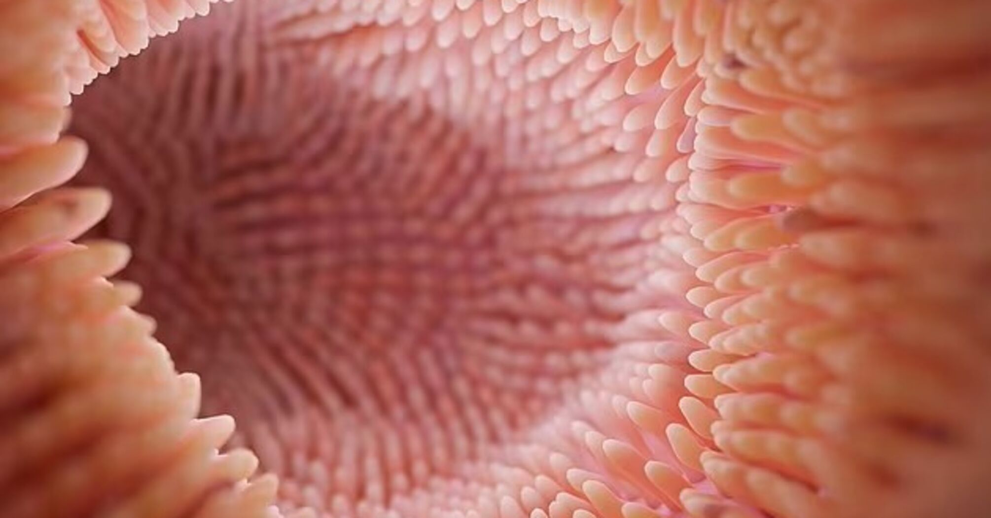 Scientists have discovered a "crazy" new life form hiding inside human bodies