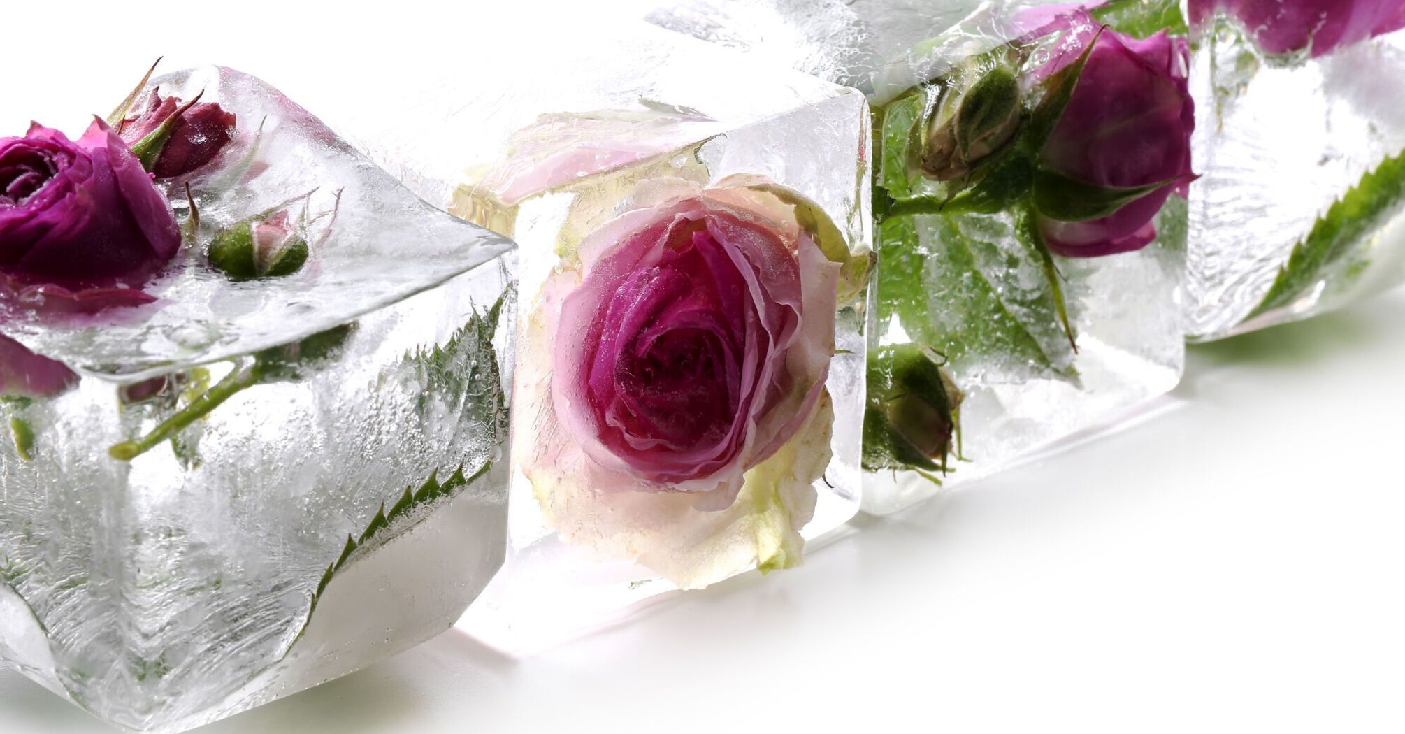 How to make beautiful and festive ice for champagne bucket: an interesting New Year's life hack