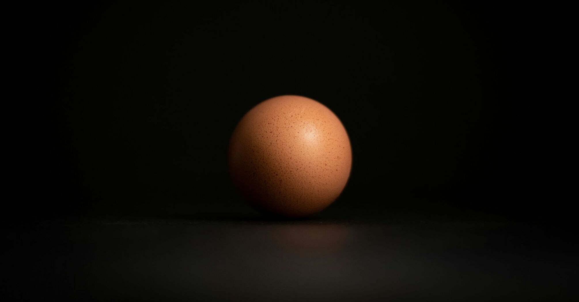 A chicken egg sold for 200 pounds sterling in Britain