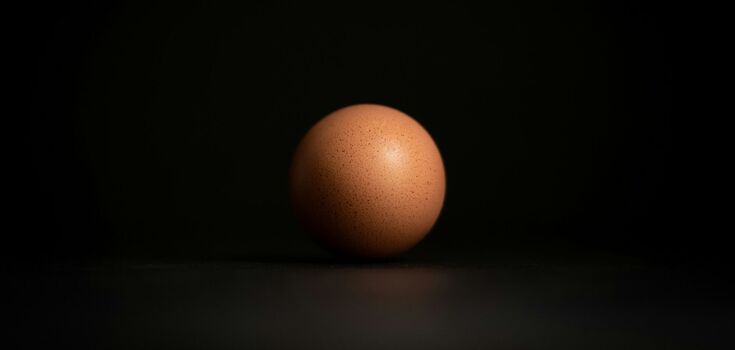 A chicken egg sold for 200 pounds sterling in Britain
