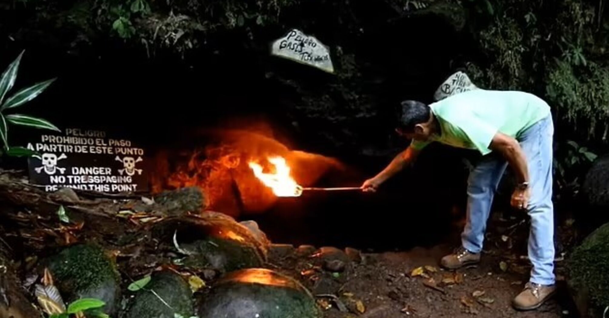 Spectacular video shows how the "Cave of Death" kills everything that gets inside