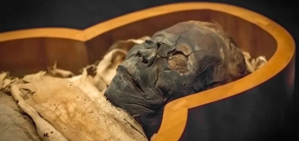 A creepy Egyptian mummy has revealed the secret of the 14th century plague: 'The Black Death' claimed the lives of millions of people