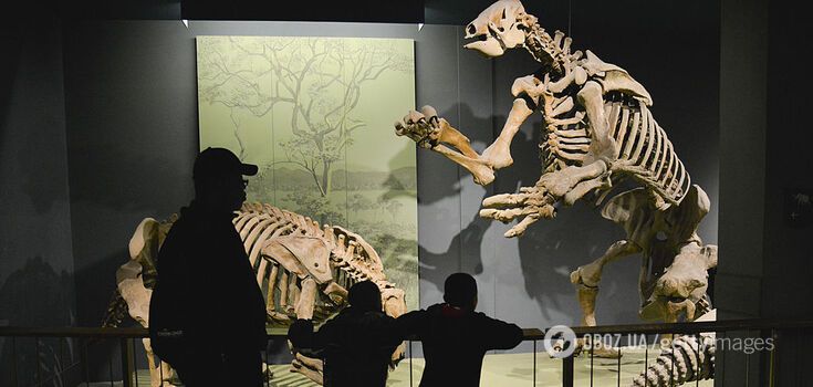 Mega-sloths with flesh-rending claws: new research suggests the giants lived alongside humans for about 10 thousand years