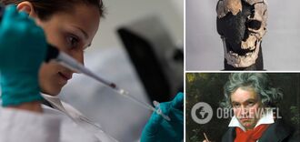 Top 6 historical mysteries scientists have solved in 2024