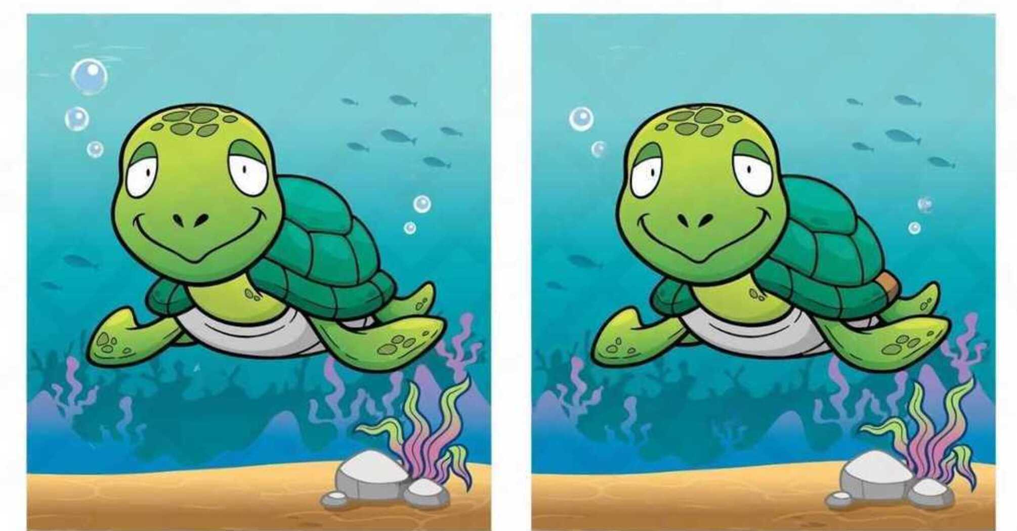 Find the differences: a quick mindfulness puzzle