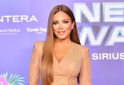 Ukrainians attacked Ani Lorak's social networks: why they "thank" the traitor and how she reacts