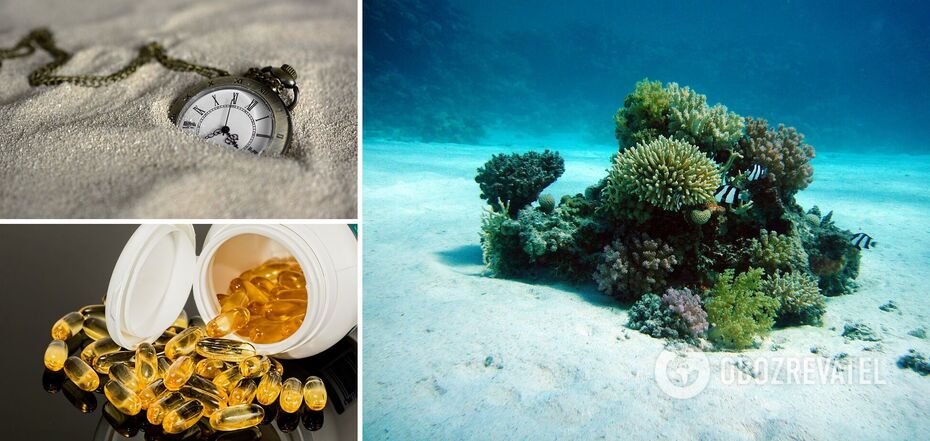 Korale, antyki i niektóre pigułki