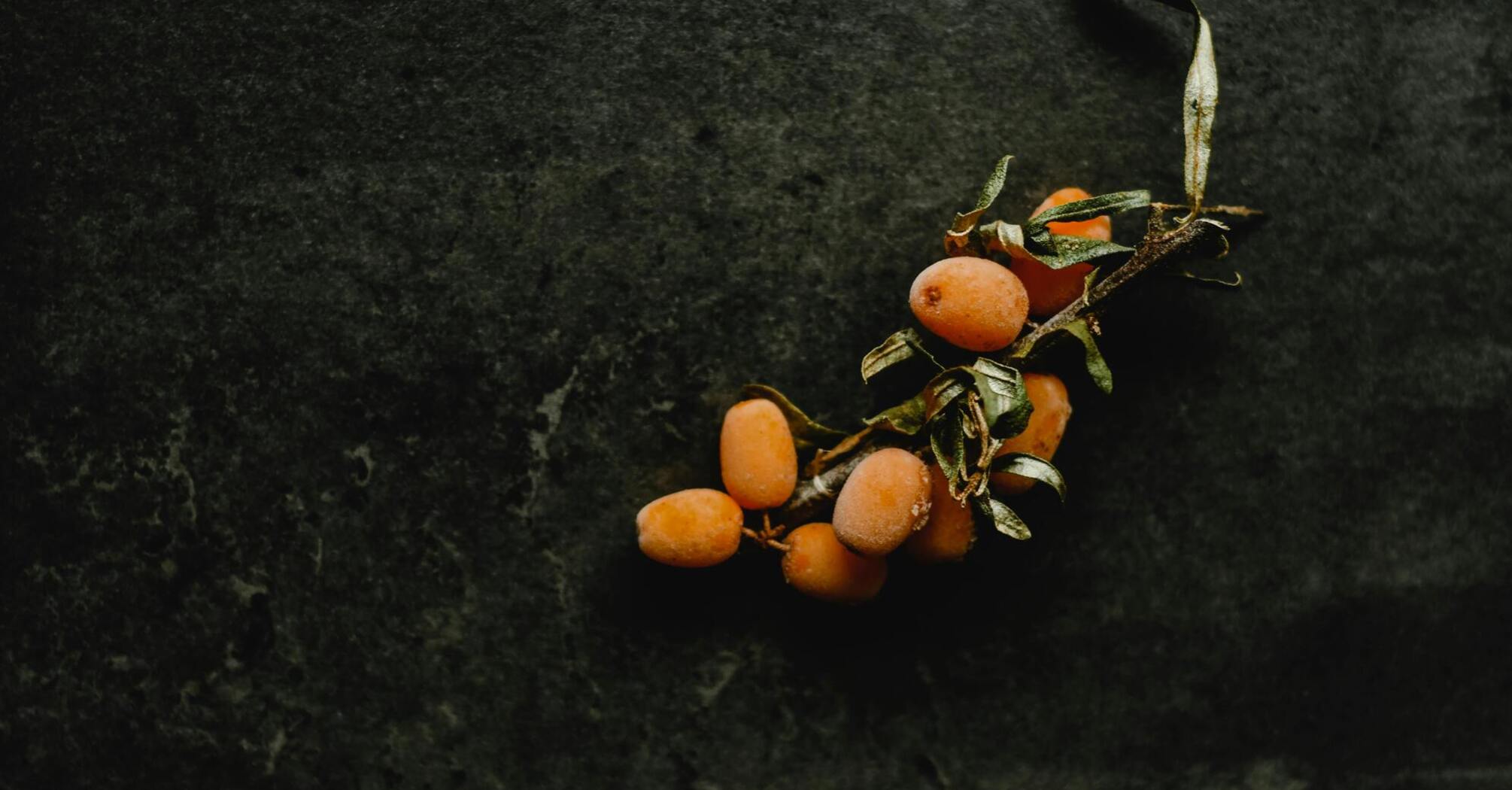 How to freeze sea buckthorn correctly and whether to add sugar: let's figure it out