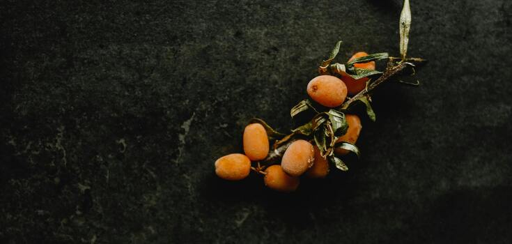How to freeze sea buckthorn correctly and whether to add sugar: let's figure it out