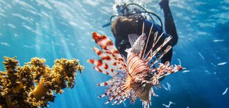 Co musisz wiedzieć przed podróżą do Egiptu: 7 wskazówek dla turystów