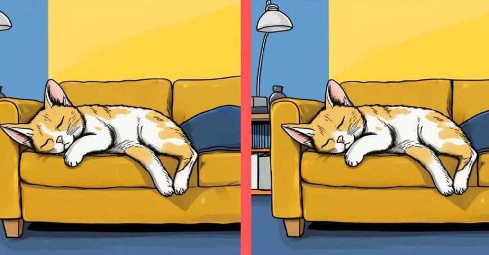 Spot the differences: a tricky mindfulness puzzle