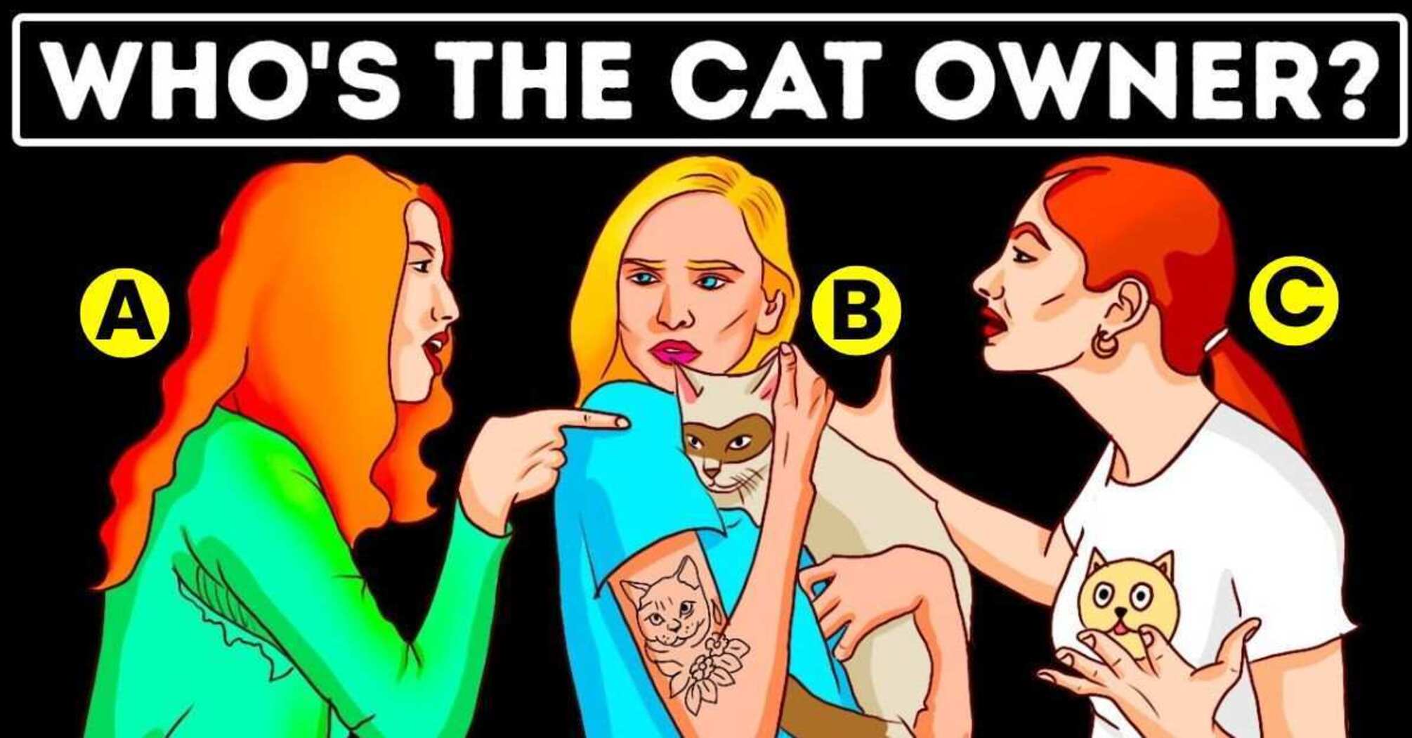 Who is the owner of the cat? A puzzle with an unexpected solution