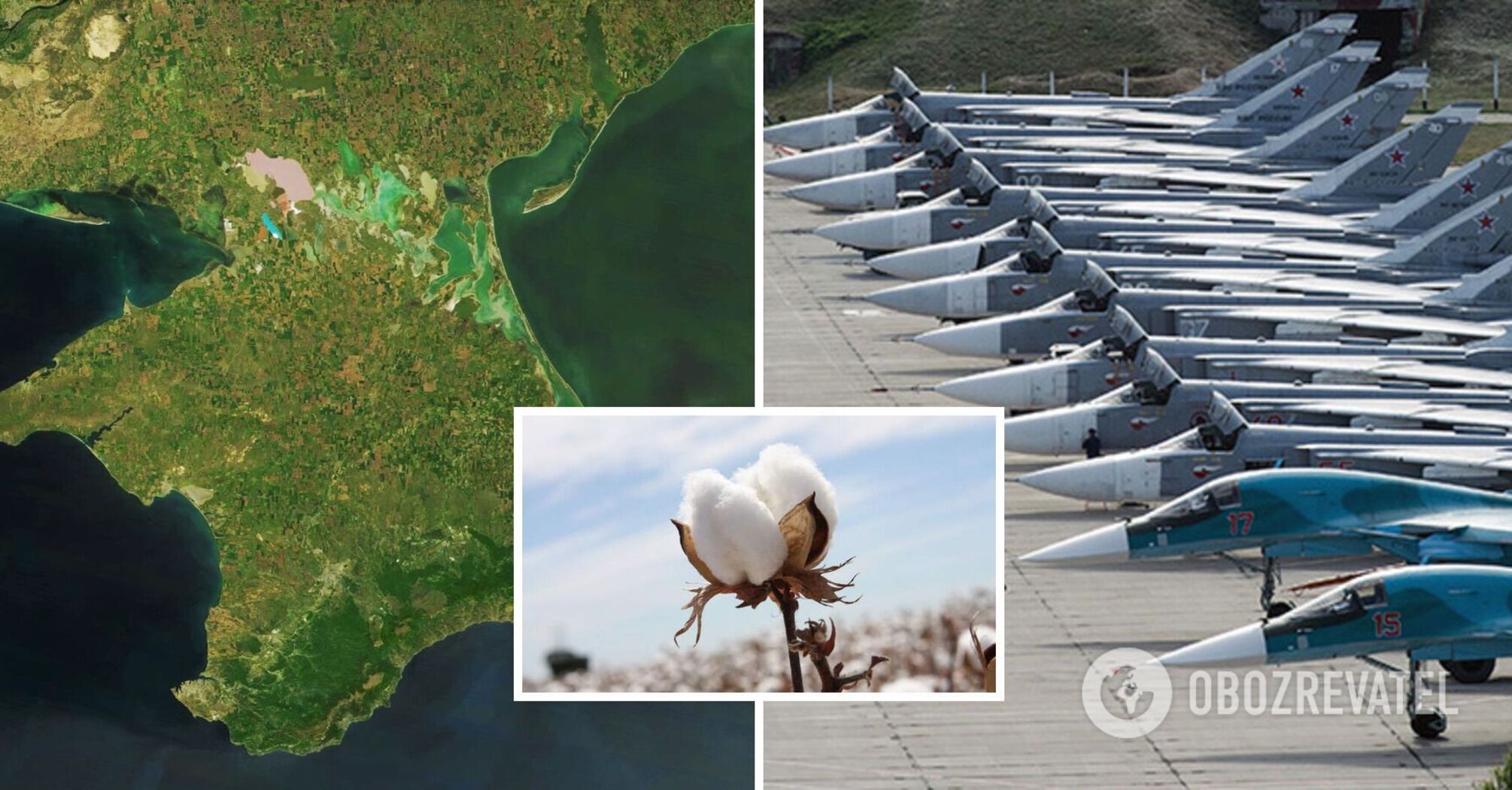 Results of cotton in Crimea