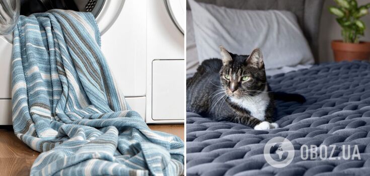 How to wash a duvet that does not fit in the washing machine: the French method