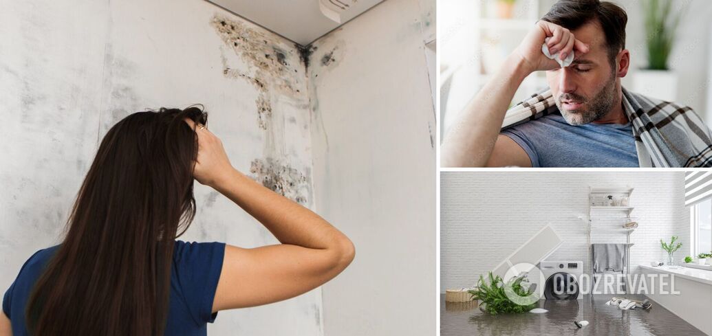 Don't waste a minute: how to find out if there is invisible mold and fungus in your apartment