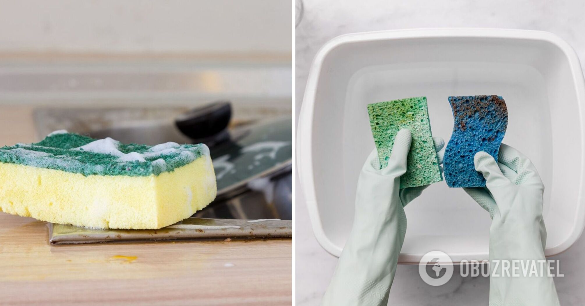 Kitchen sponges