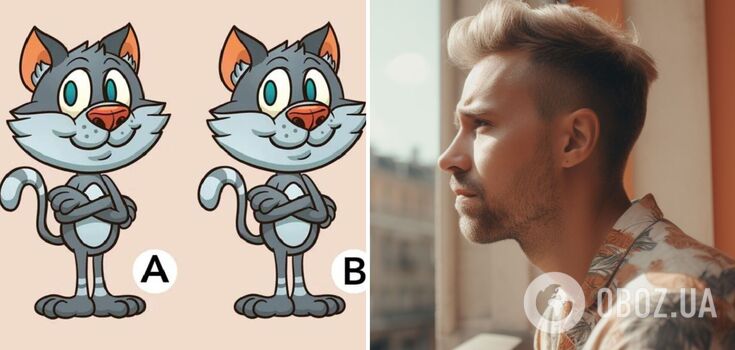 Find the differences between the cats: a puzzle that only the smartest can solve