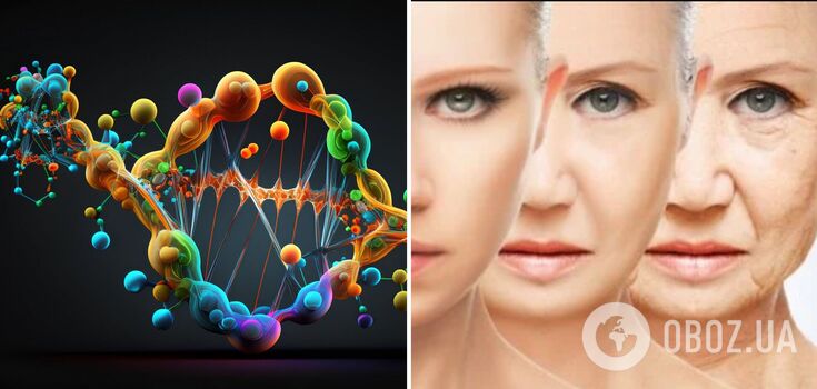 Scientists found 'secret factor' that accelerates aging: discovery could help fight death