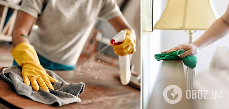 How to get rid of dust at home for a long time: what products to use
