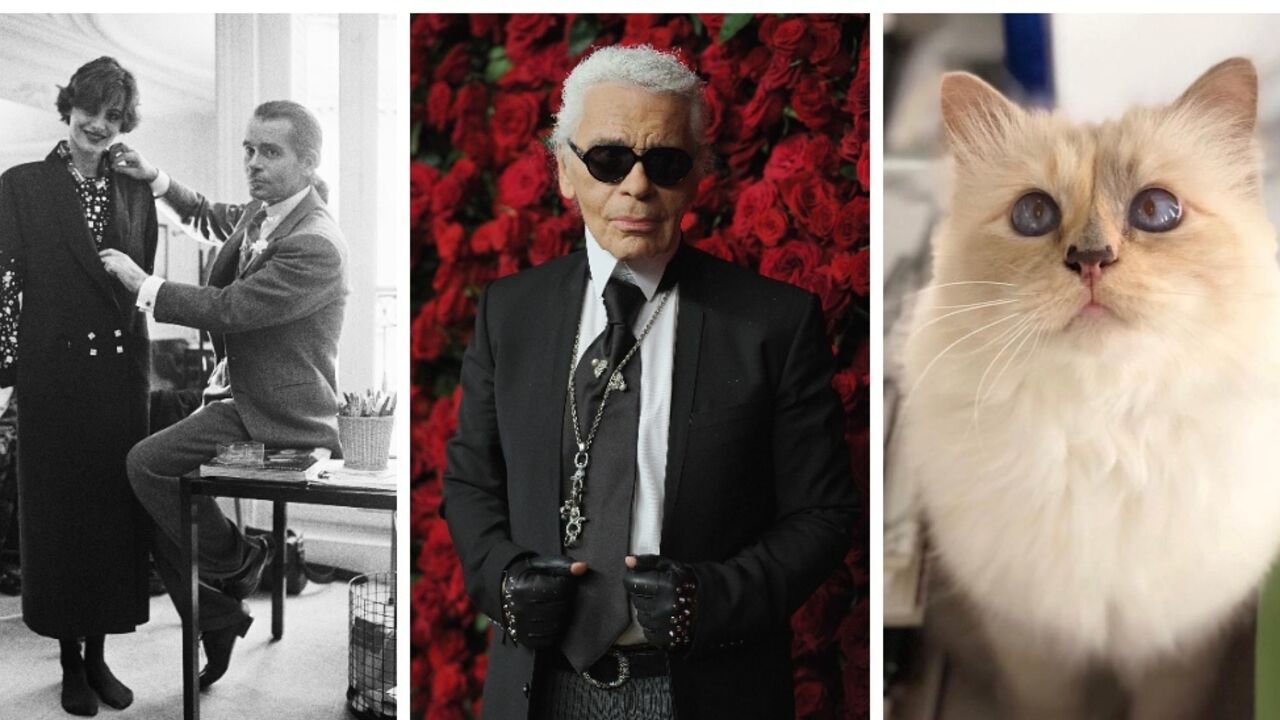 His lover died of AIDS, and he wanted to marry a cat. 7 interesting facts about the fashion legend Karl Lagerfeld
