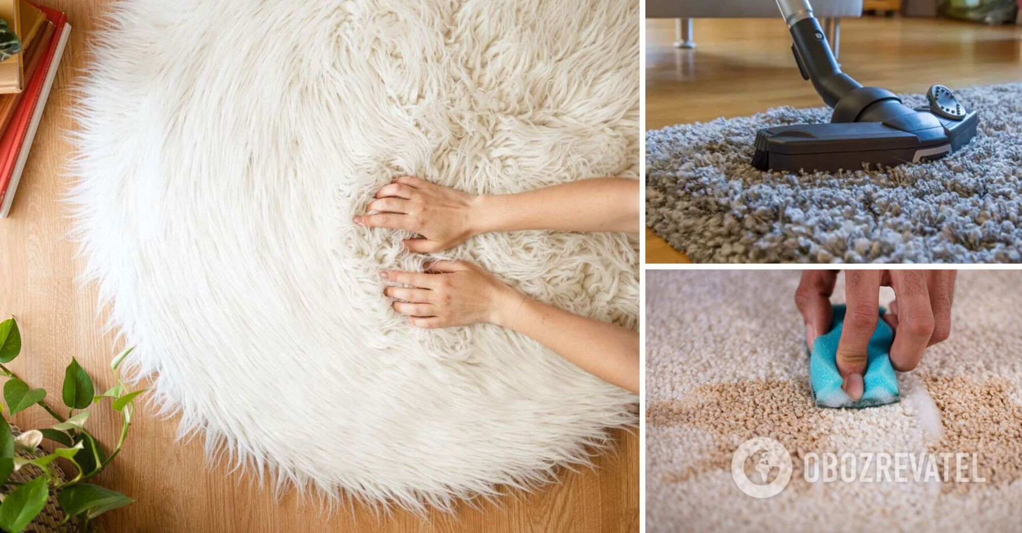 How to clean a high-pile carpet: tips for housewives