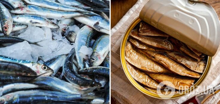 How to make herring sprats: an original idea