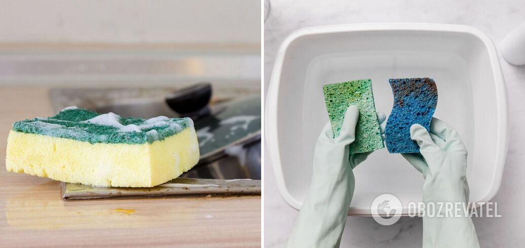 How to clean a dishwashing sponge: four ingenious life hacks