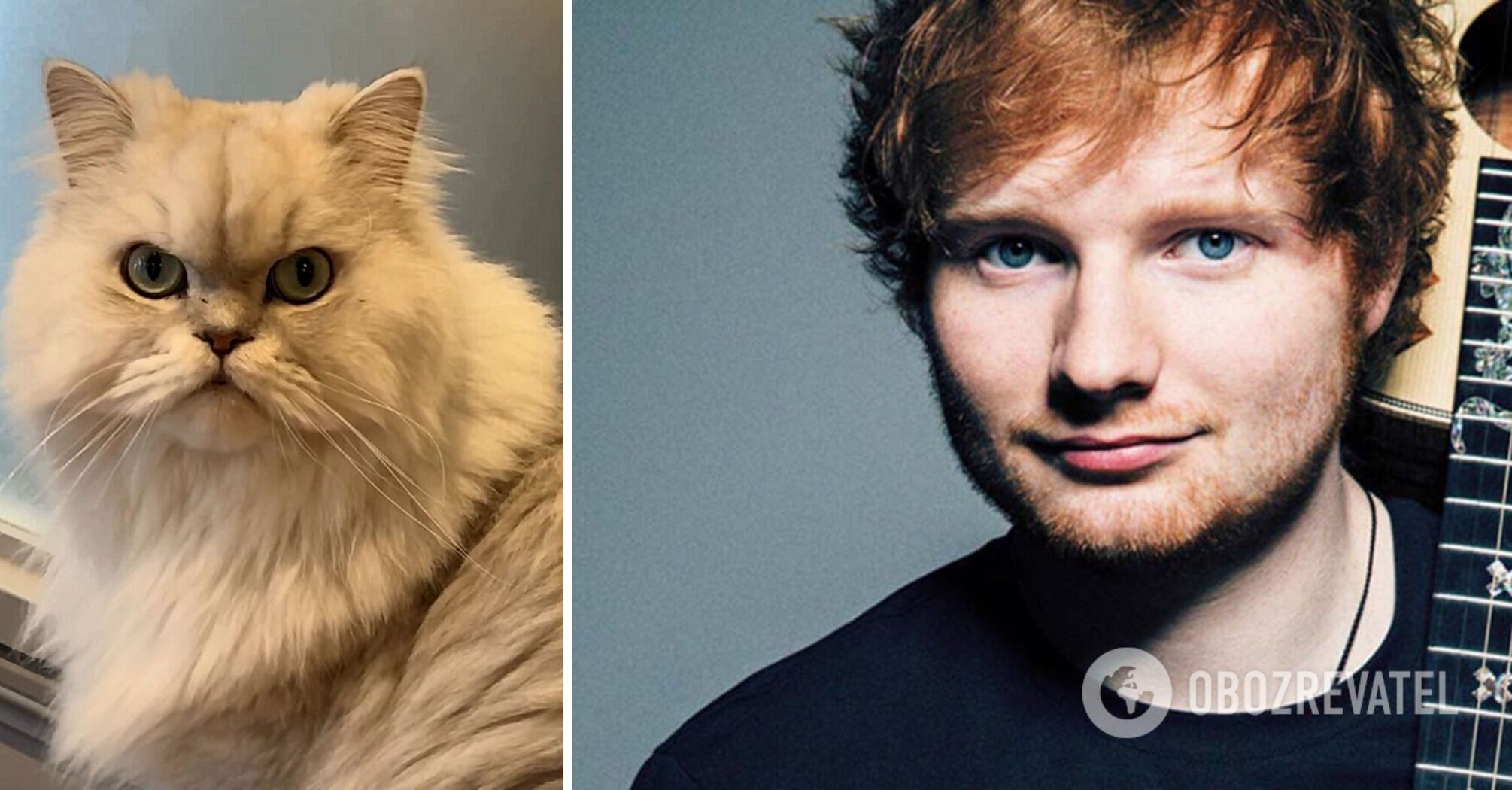 Ed Sheeran returned to the Cat Cafe after 10 years to impress the cats with a song, but failed again. Funny video