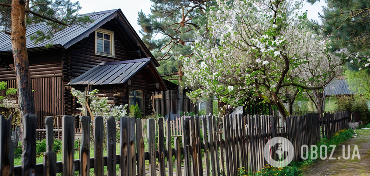 How to get rid of green mold on a wooden fence: a simple method