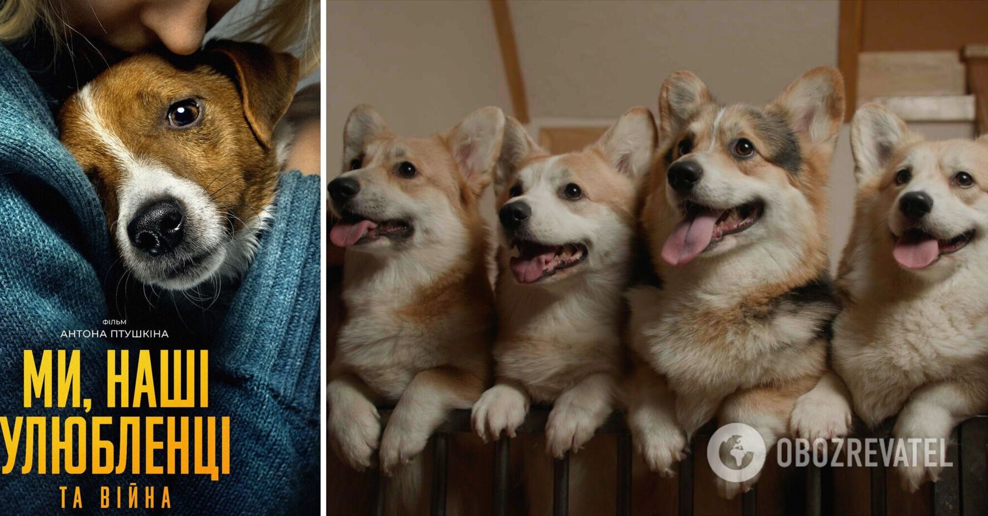 Us, Our Pets and the War: a documentary by famous Ukrainian blogger Anton Ptushkin to be shown in cinemas