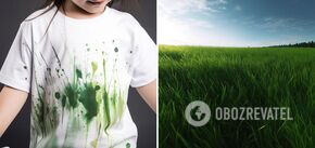 How to get rid of grass stains: life hacks that will save children's clothes