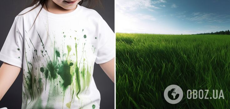 How to get rid of grass stains: life hacks that will save children's clothes