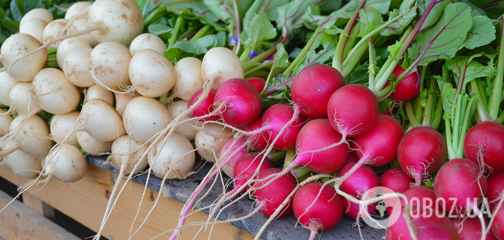 When to sow radishes: how to grow a juicy root crop