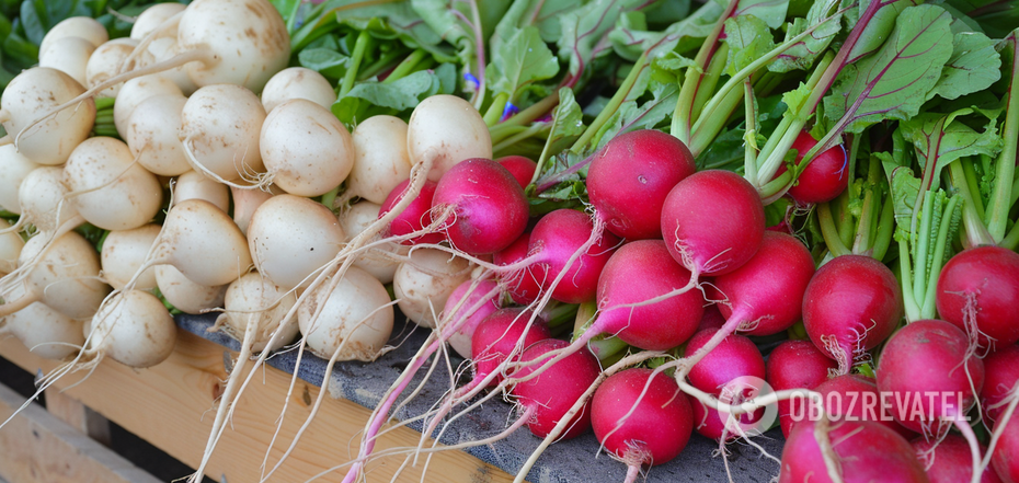 When to sow radishes: how to grow a juicy root crop