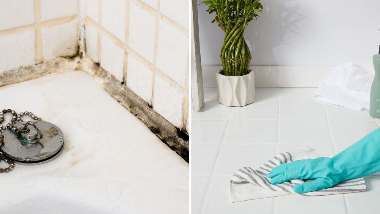 How to clean mold on bathroom sealant: an easy method