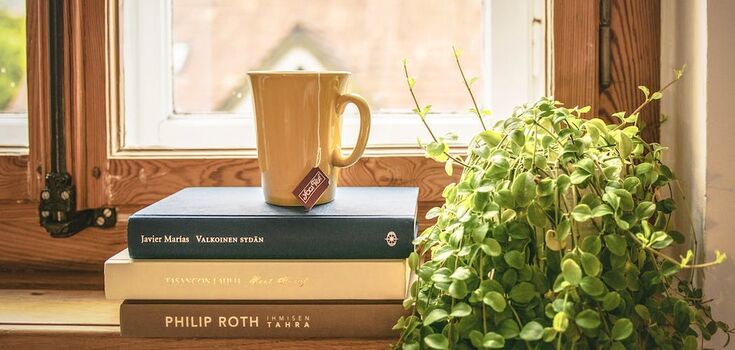 What not to store near the window: things that spoil in the sun