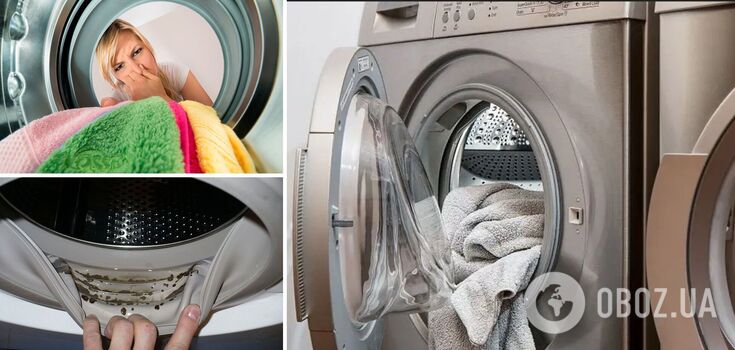 How to prevent mold and bad odor in the washing machine: a simple life hack